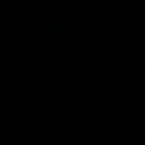 Meet your Posher, Wayne